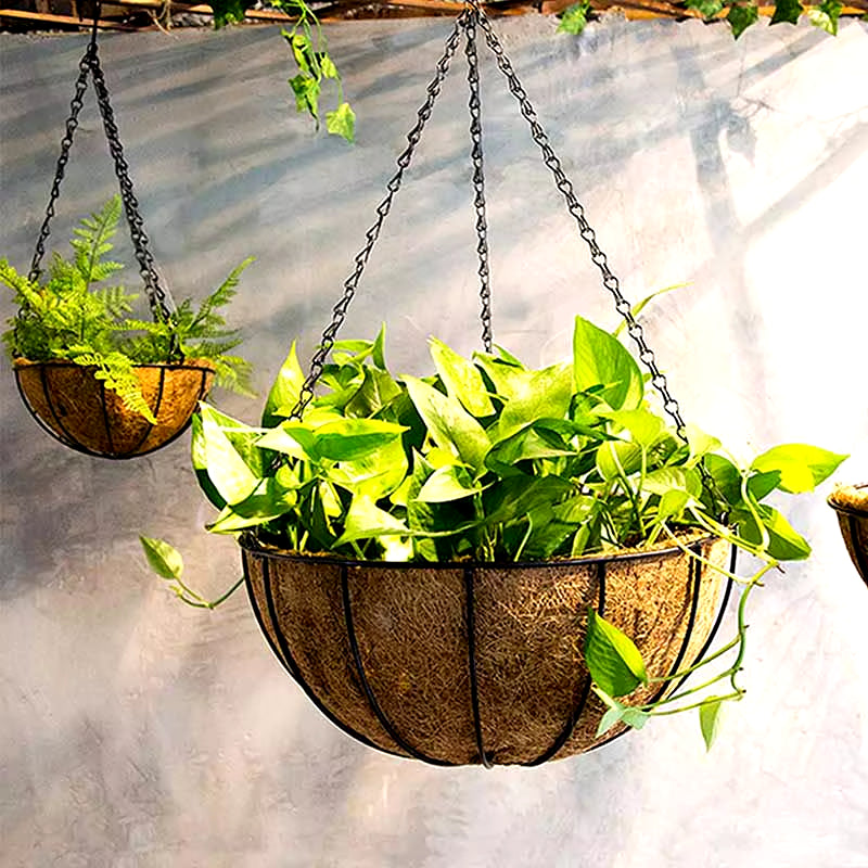 Eco-Friendly Hanging Planter with Coconut Liner