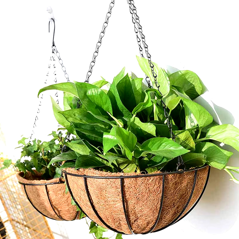 Eco-Friendly Hanging Planter with Coconut Liner